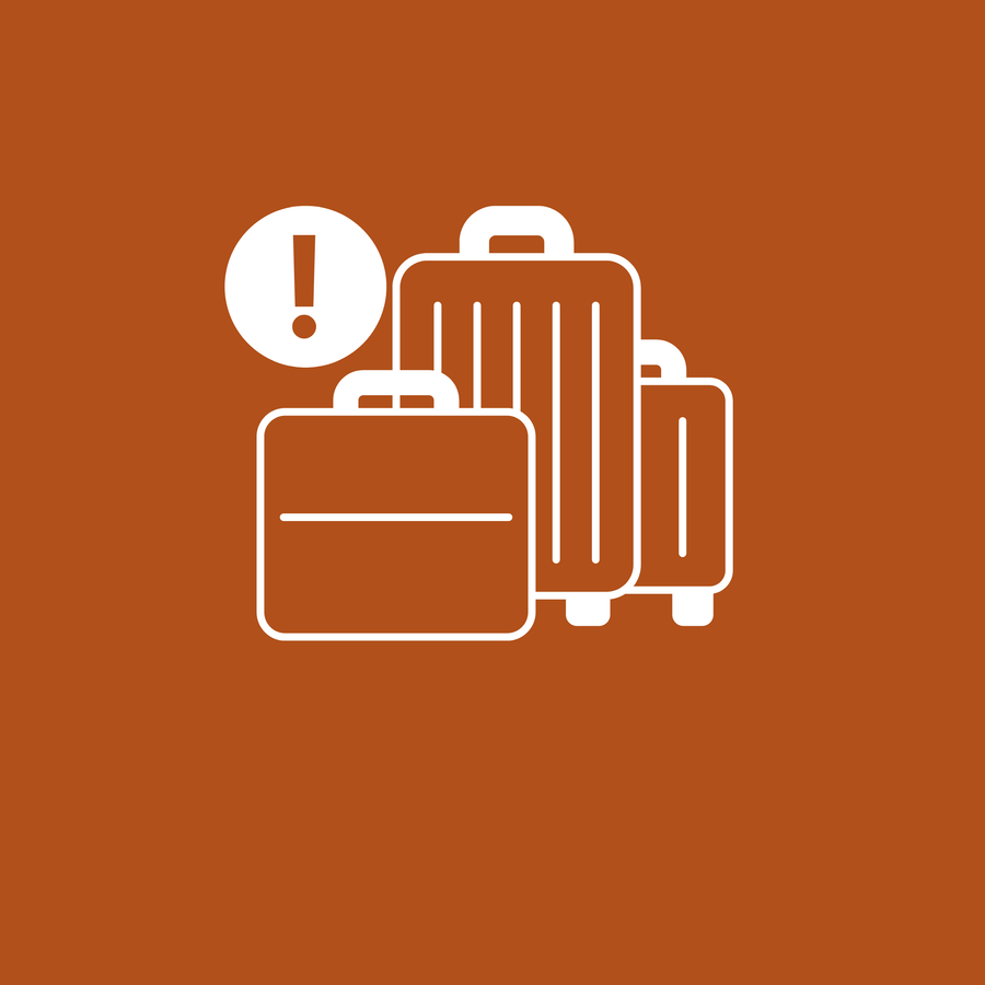 The image shows a white icon of three pieces of luggage centered on a solid burnt orange background. There are two upright wheeled suitcases and one smaller briefcase or handbag in the foreground. A circular icon with a plus sign is positioned near the top right of the suitcases, suggesting the concept of adding baggage or luggage.